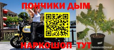 ГАЛЛЮЦИНОГЕННЫЕ ГРИБЫ Аргун