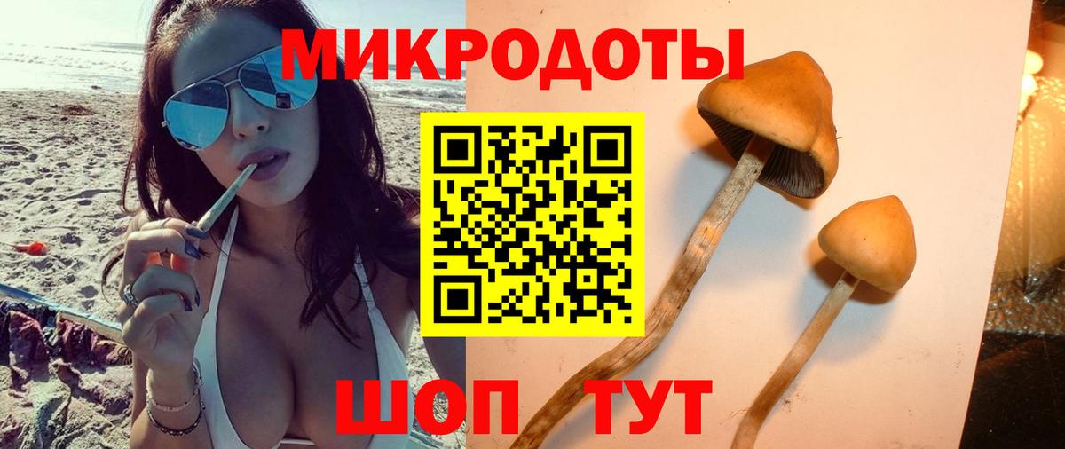Верхняя Салда  Псилоцибиновые грибы Psilocybine cubensis  как найти закладки  Вход с VPN 